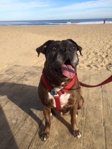 Saydee on Day 1 of her #fuckcancer photo challenge. 